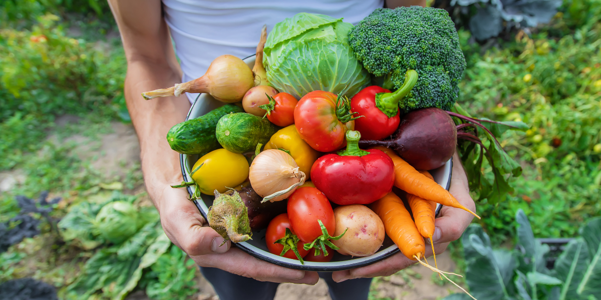 Man farmer with homemade vegetables in his hands.