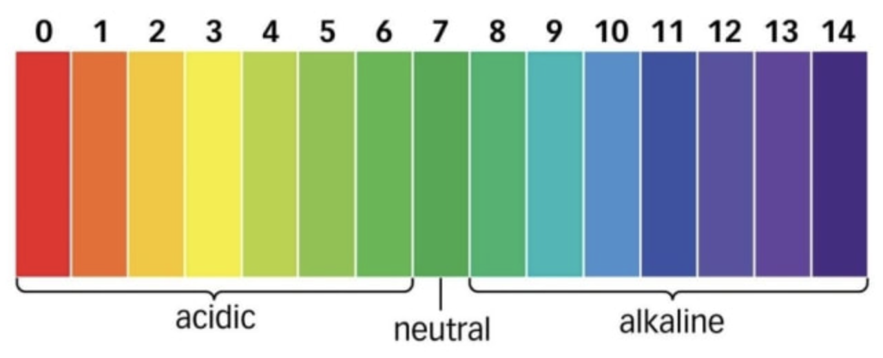 Infographic showing pH scale: acidic 0-6, neutral 7, alkaline 8-14