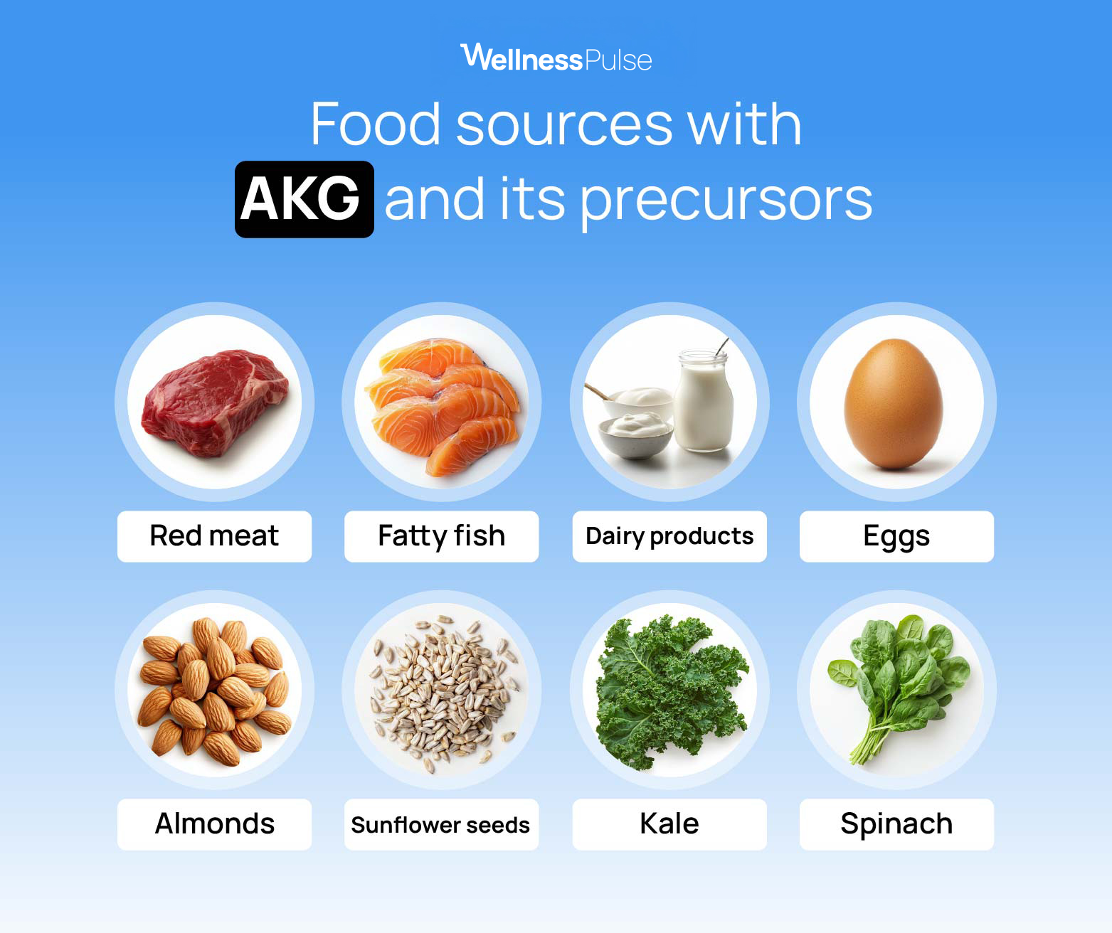 Infographic explaining food sources with AKG and its precursors