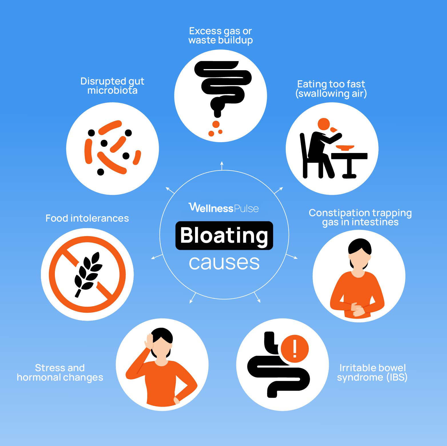 Infographic on what causes bloating, including IBS, stress, intolerances, and more