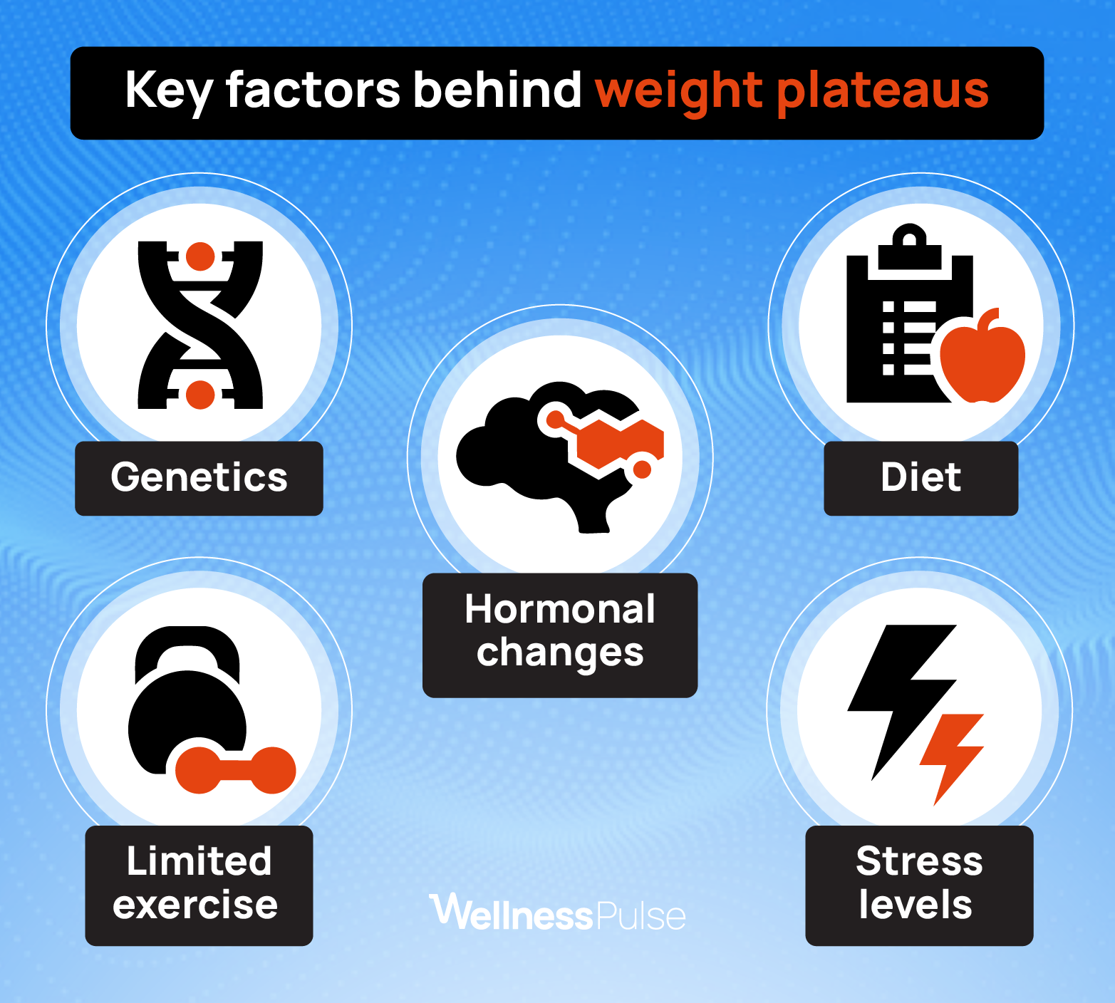 Infographic showing key factors behind weight plateaus