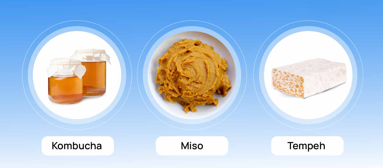 Infographic showing Kombucha, Miso, Tempeh