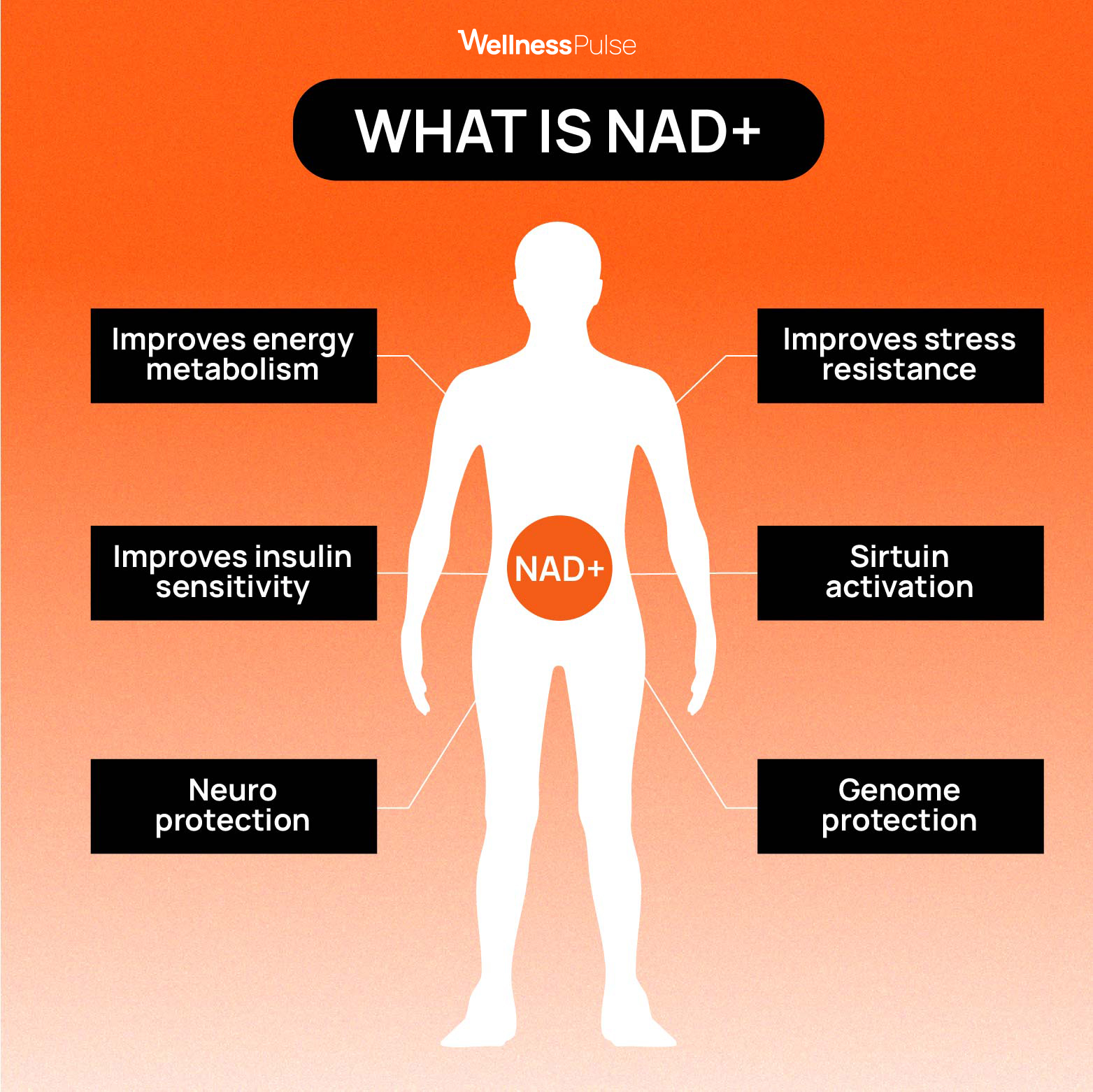 NAD+ benefits