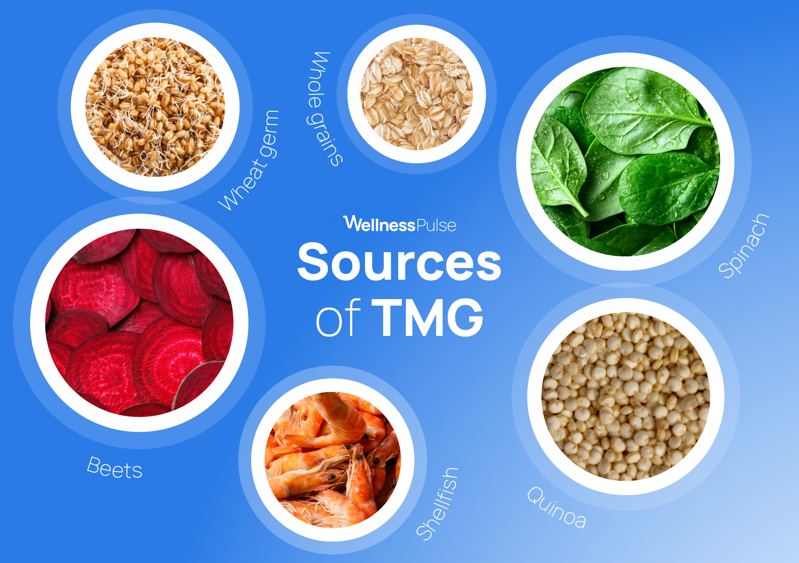 Infographic on sources of TMG, including beets, spinach, quinoa, and more