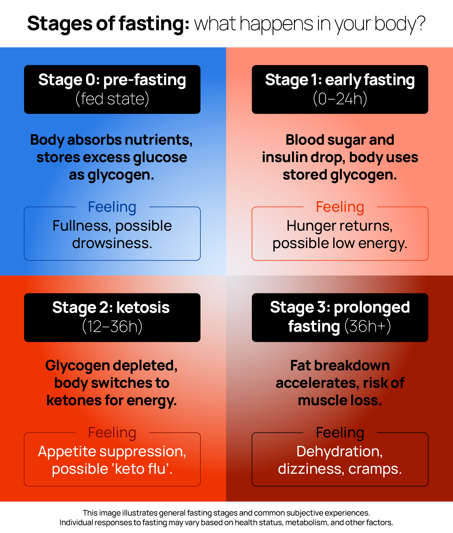Infographic of fasting stages flowchart
