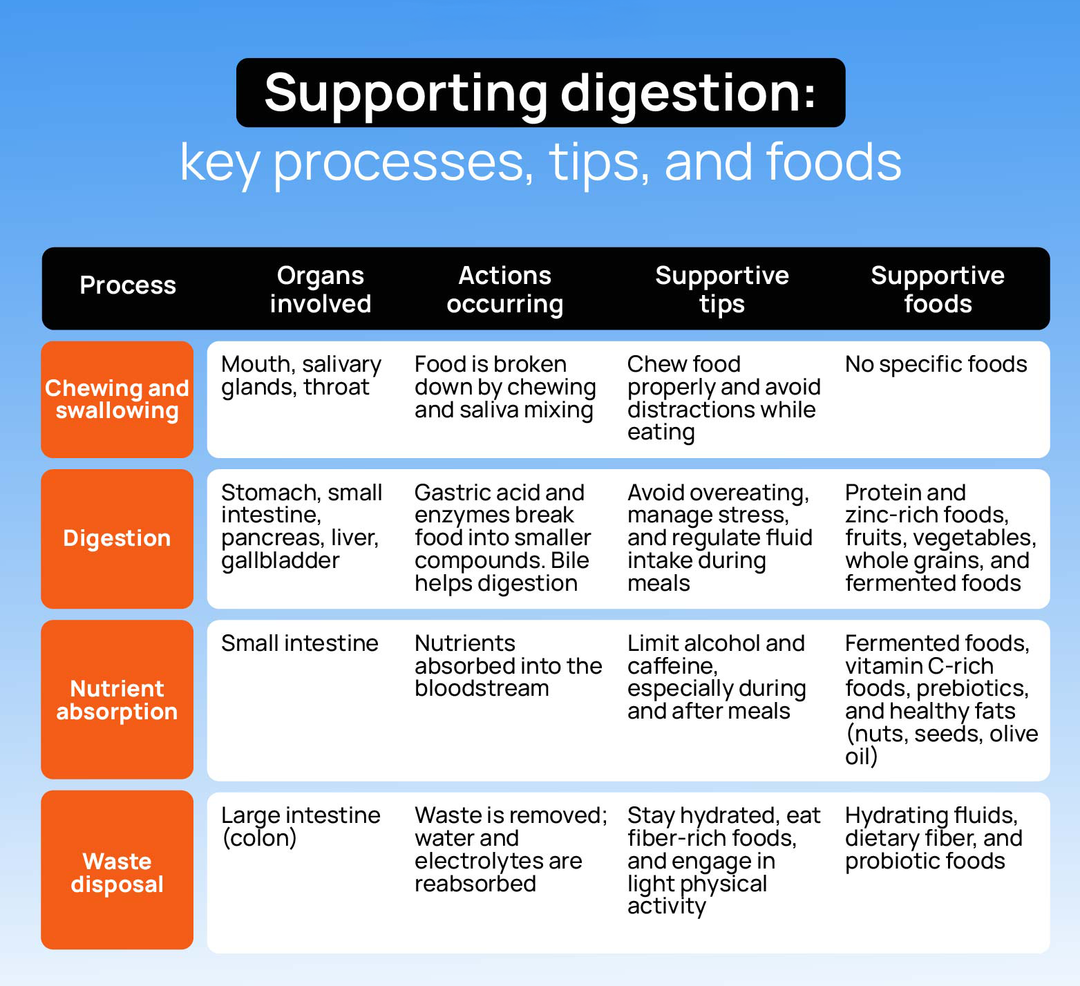 Infographic showing supportive tips and foods for digestion