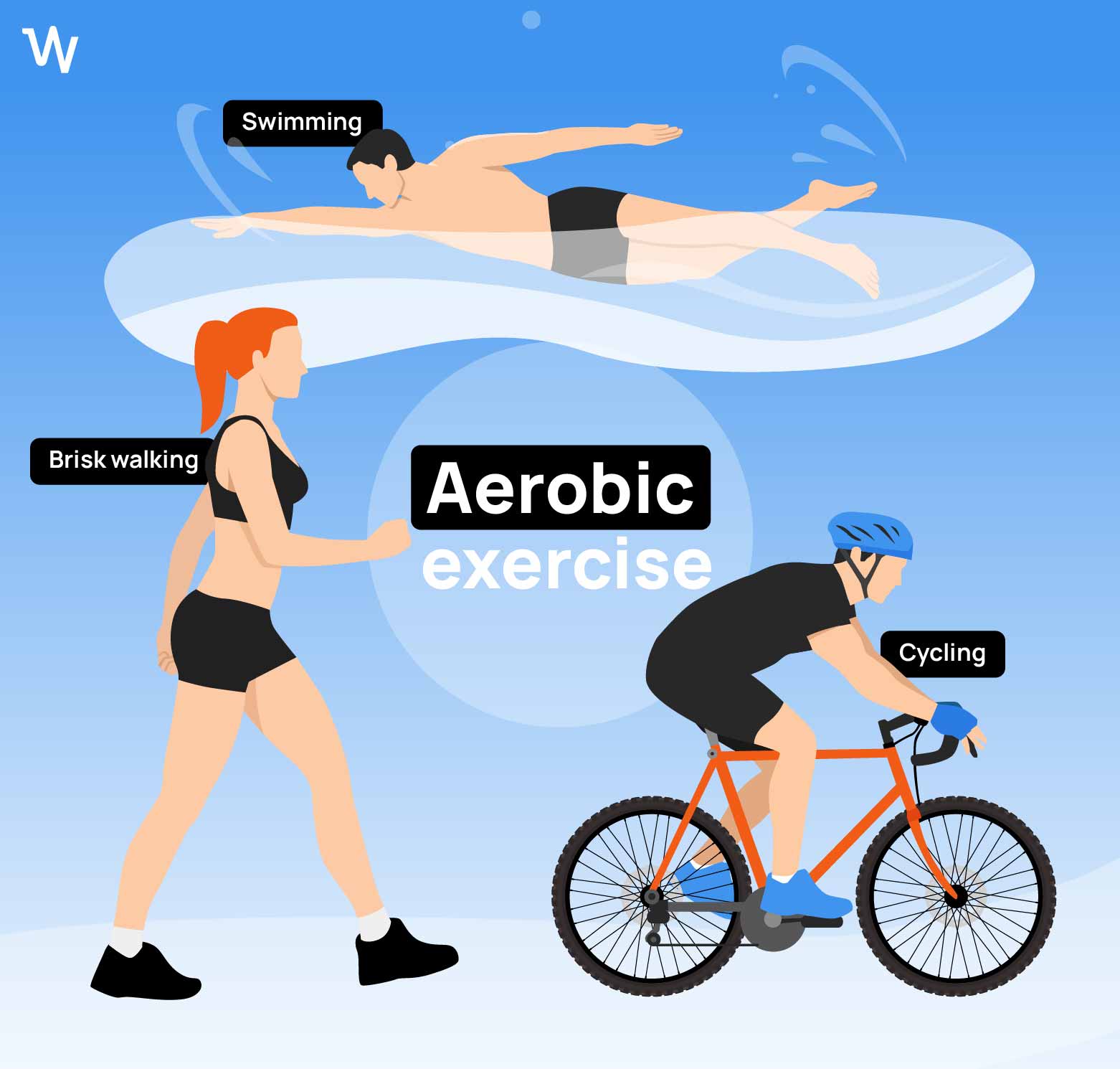 Infographic on aerobic training: swimming, cycling, brisk walking