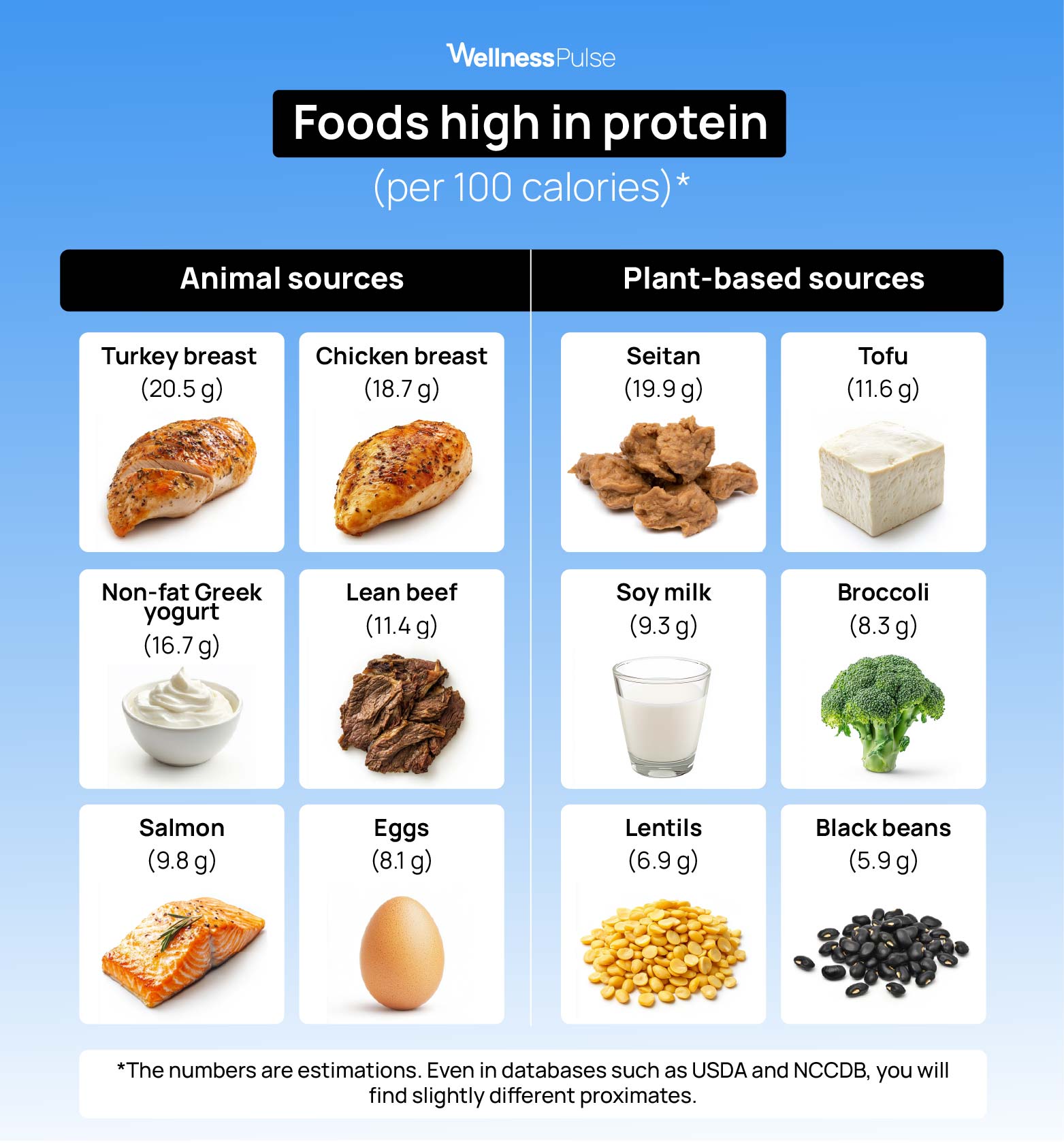 Infographic showing foods that are high in protein