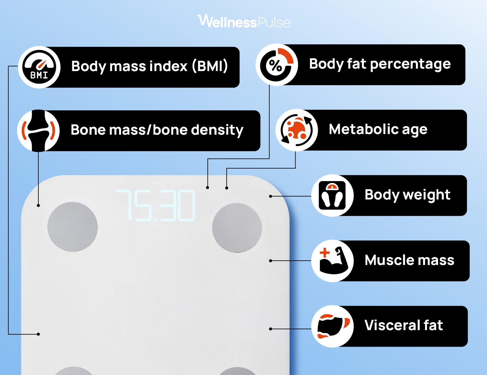 Infographic showing smart scale metrics, including BMI, muscle mass, and more