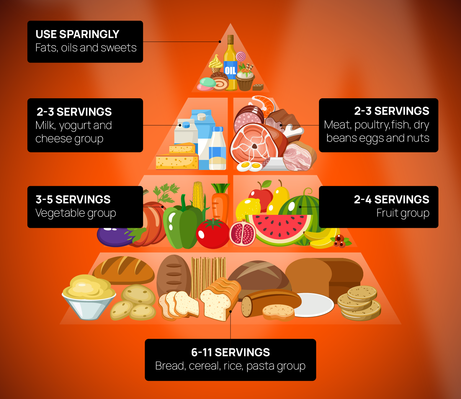 The image displays the USDA's Food Guide Pyramid introduced in 1992.