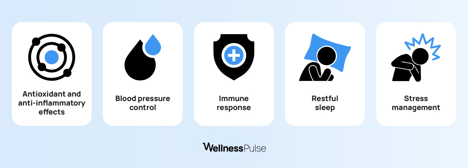 Infographic listing what is L-theanine good for: blood pressure control, immune response, and more
