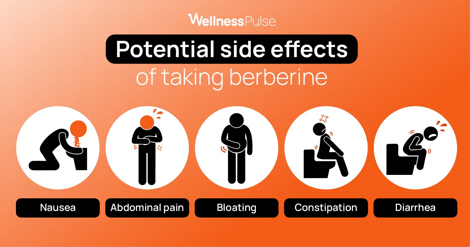 Infographic showing potential side effects of berberine: nausea, diarrhea, constipation, bloating