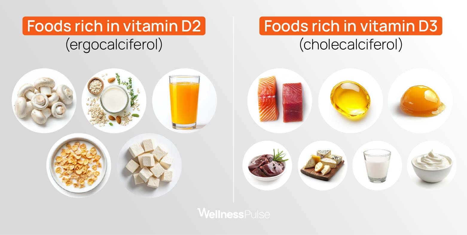 Infographic on foods rich in vitamin D2 vs vitamin D3