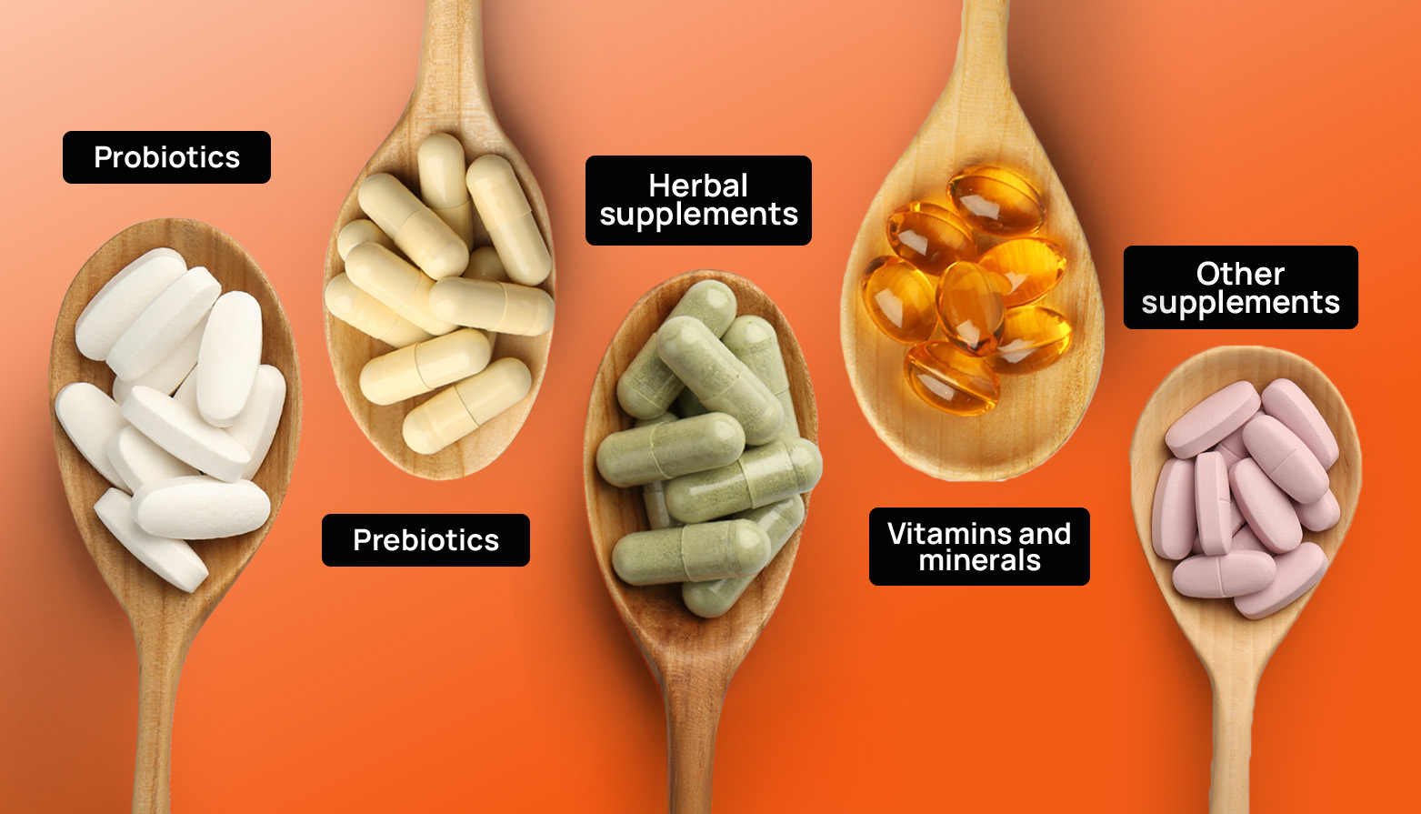 Infographic showing different types of supplements for gut health