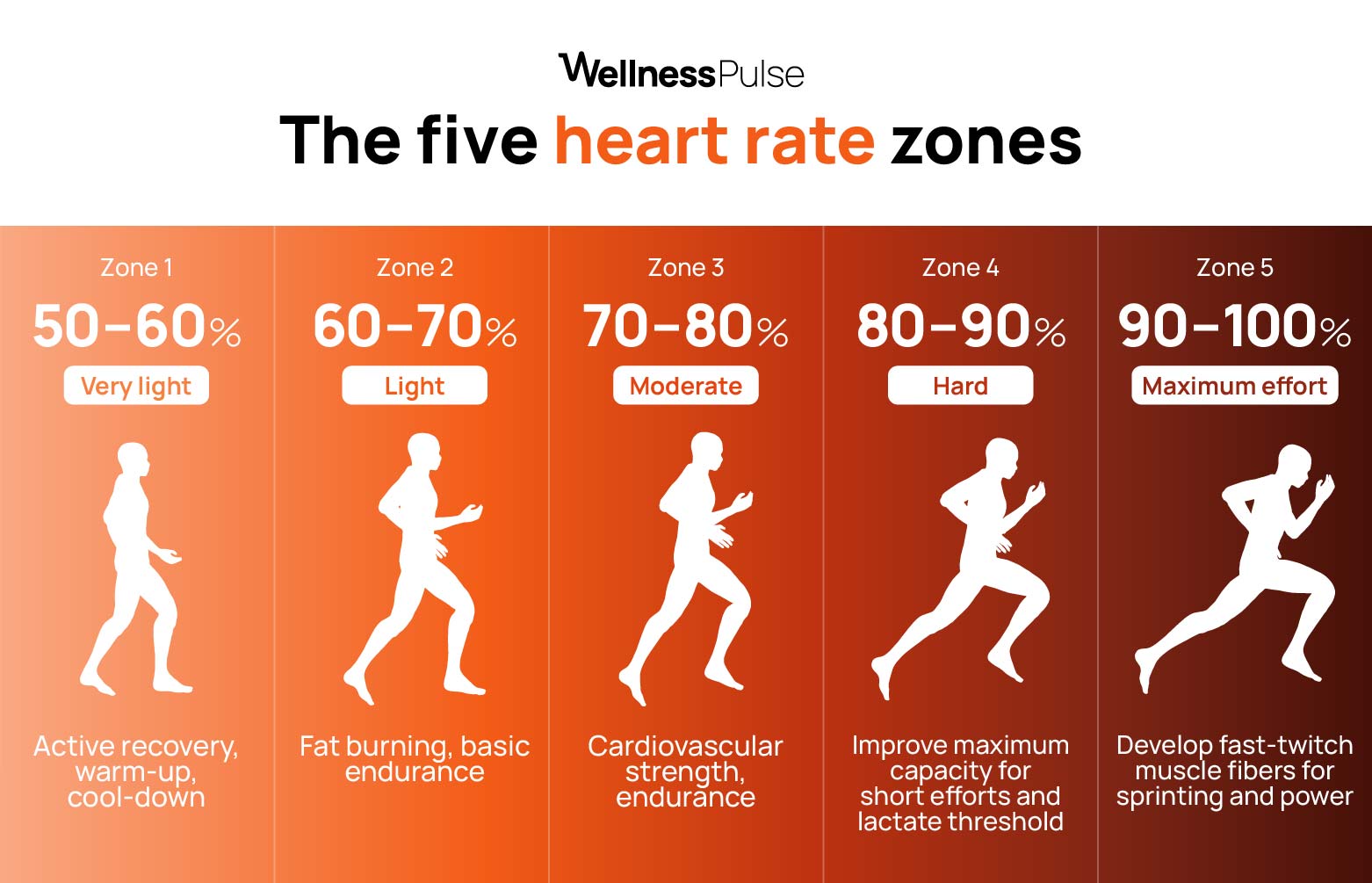 Infographic explaining what are The five heart rate zones 5 in total