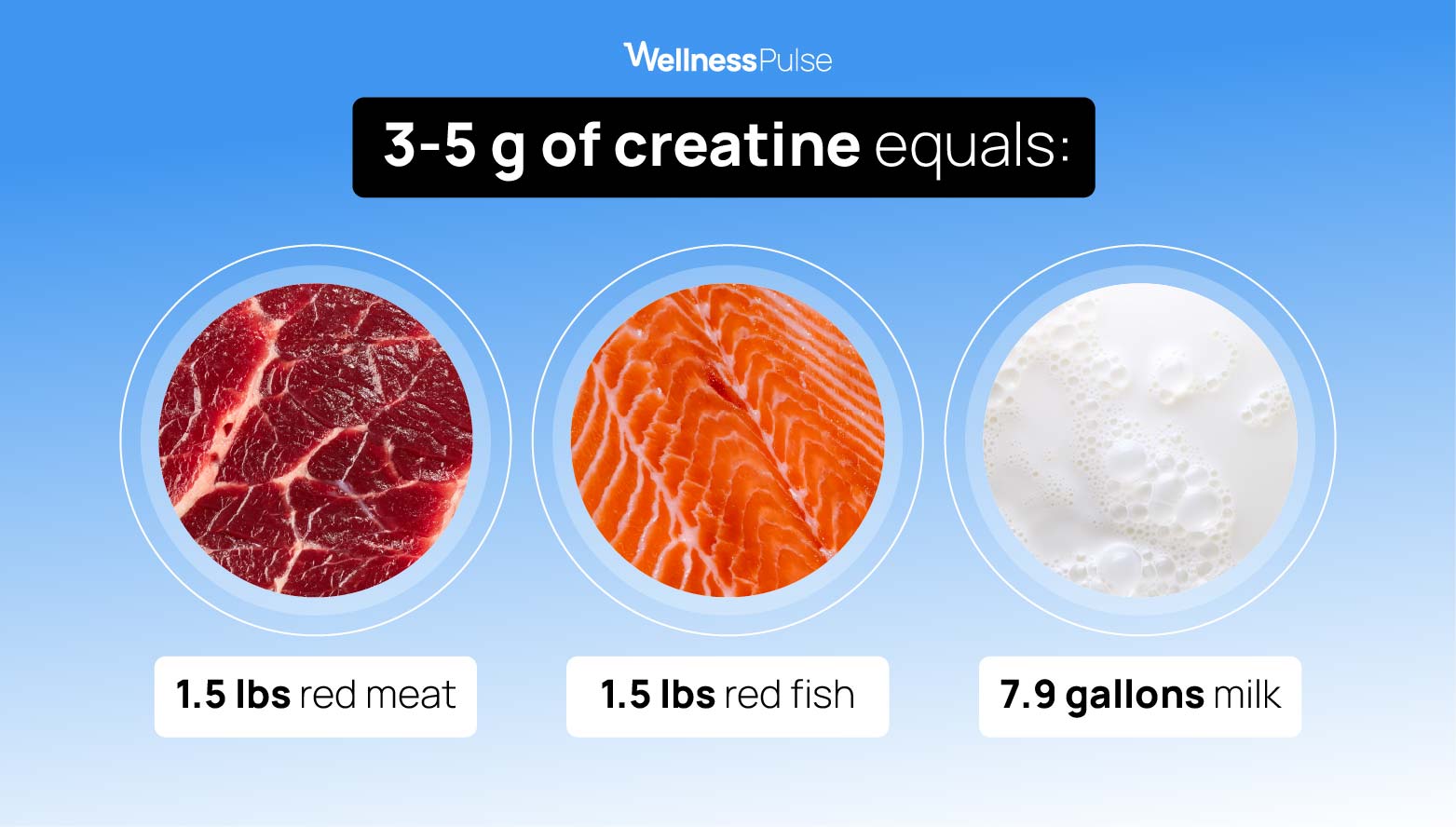 Illustration showing where to get 3-5 grams of creatine