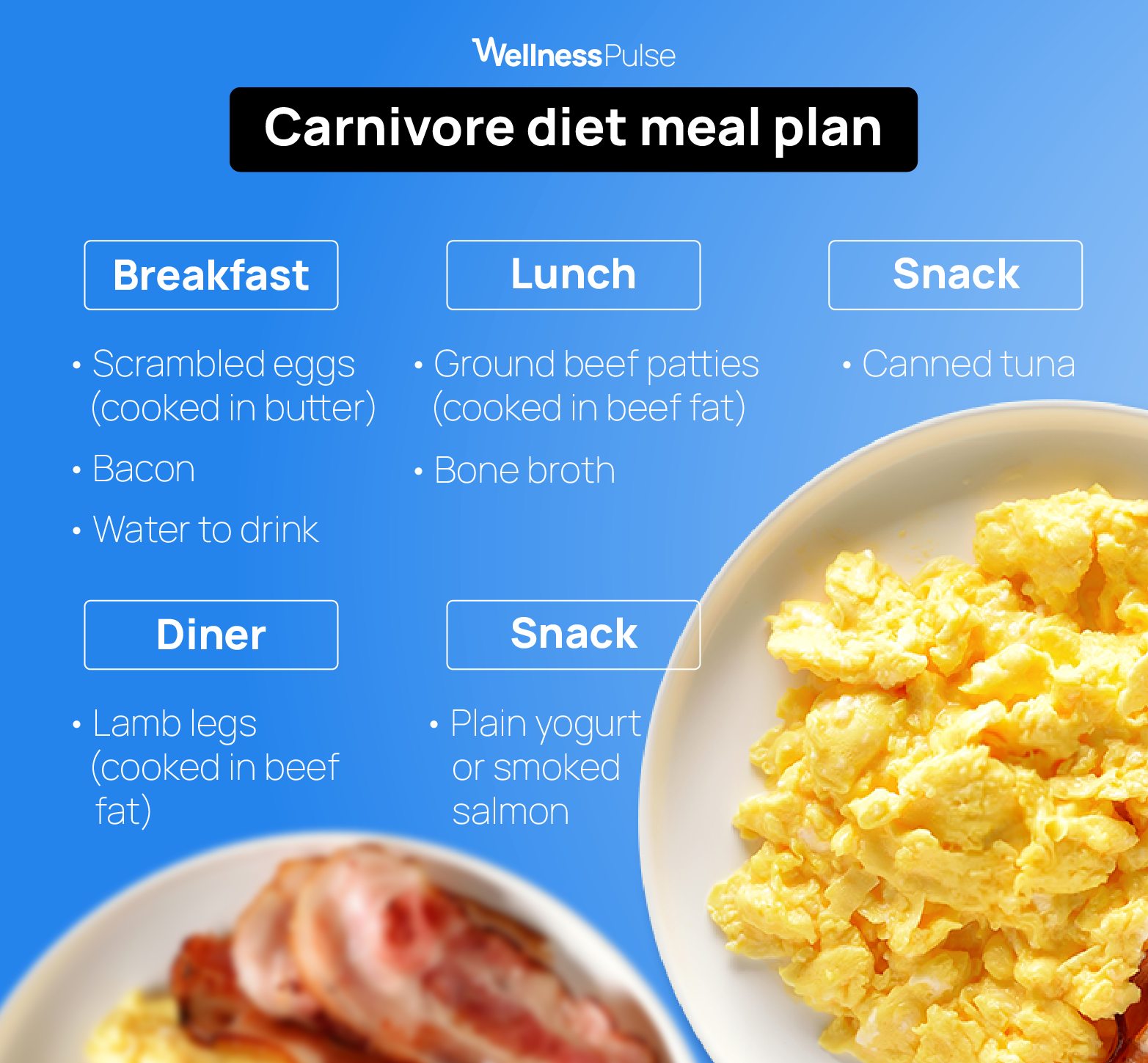 Infographic showing how a carnivore diet meal plan looks like