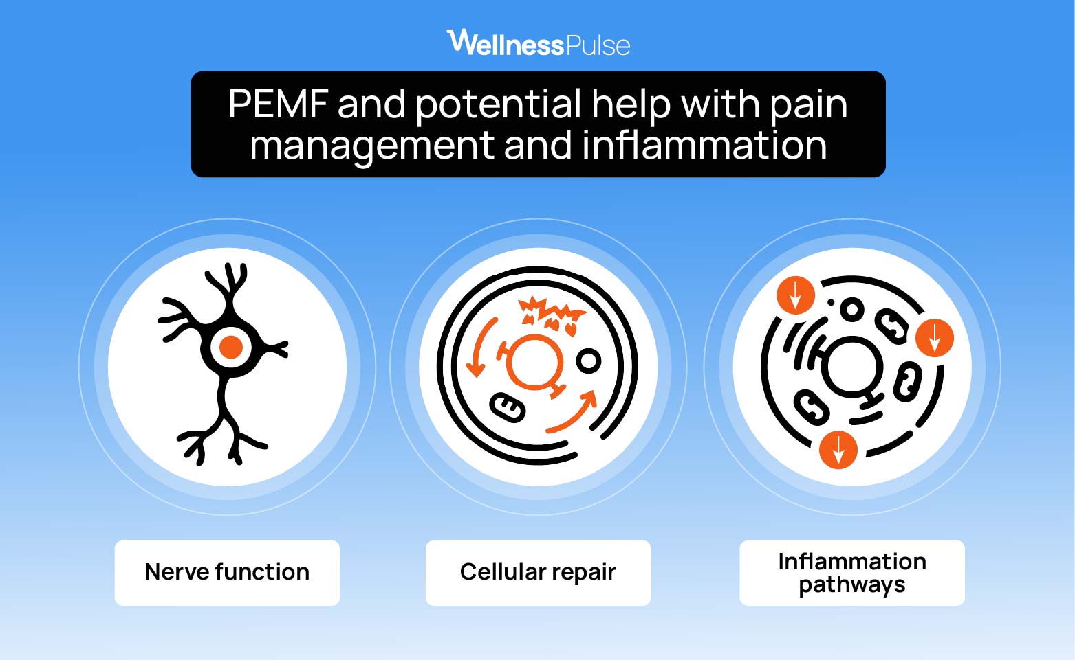 Illustration showing how PEMF can help with pain management and inflamation
