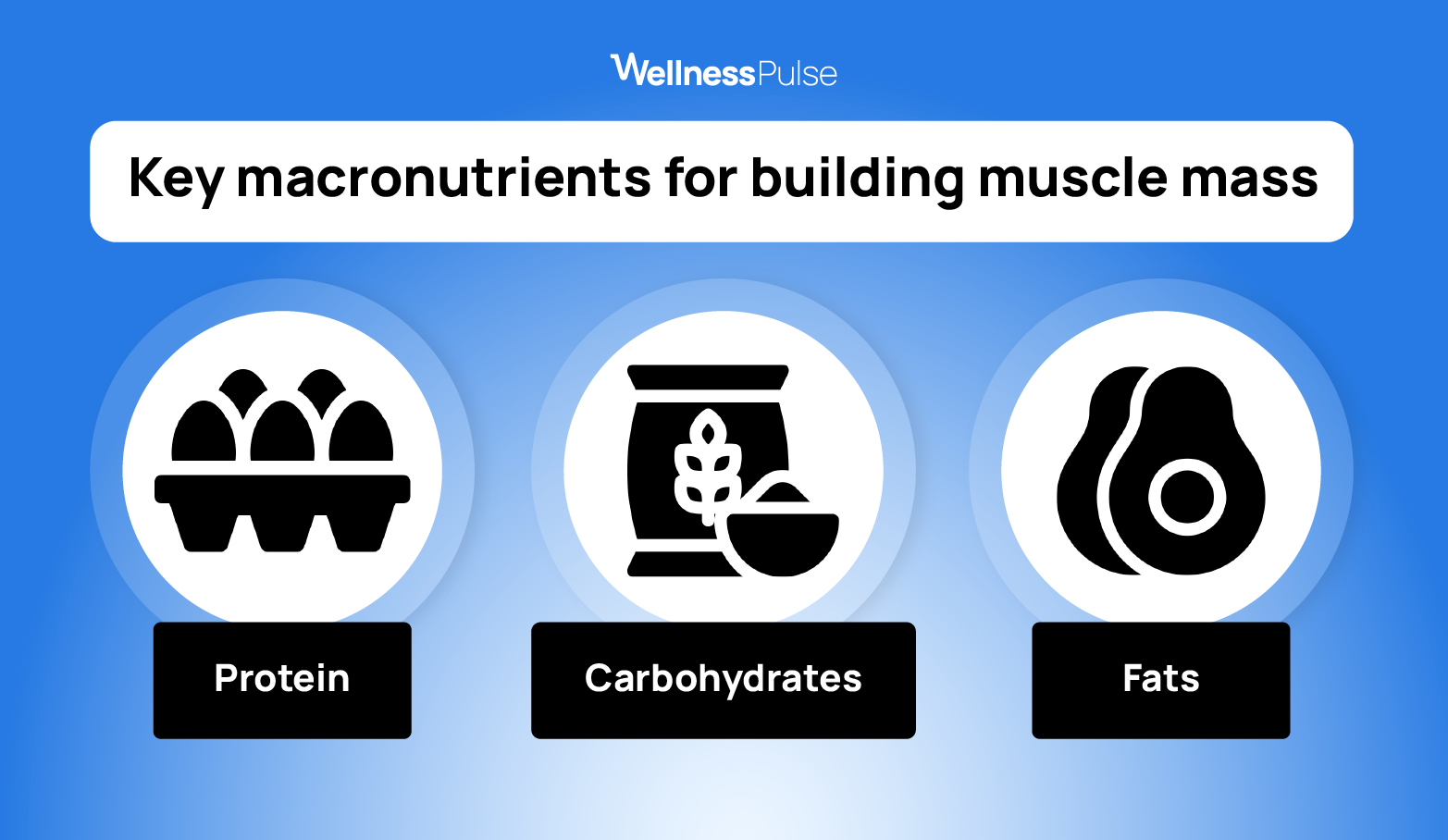 key macronutrients for building muscle mass