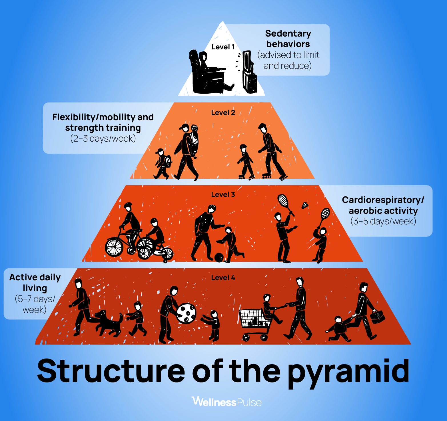 Infographic on the physical activity pyramid, including its levels