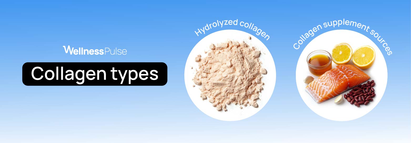 types of collagen