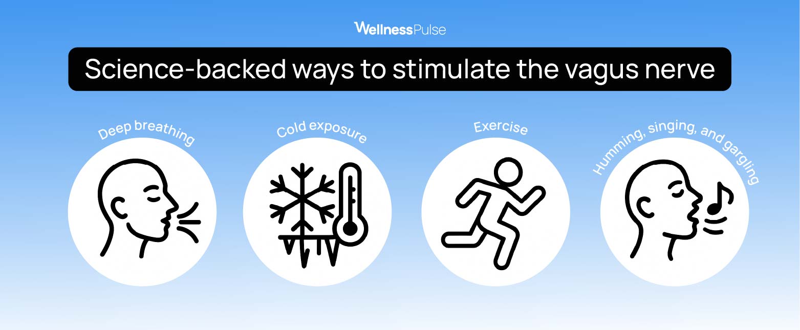 science-backed ways to stimulate the vagus nerve