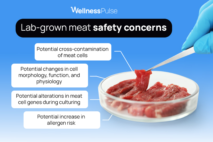 lab-grown meat safety concerns