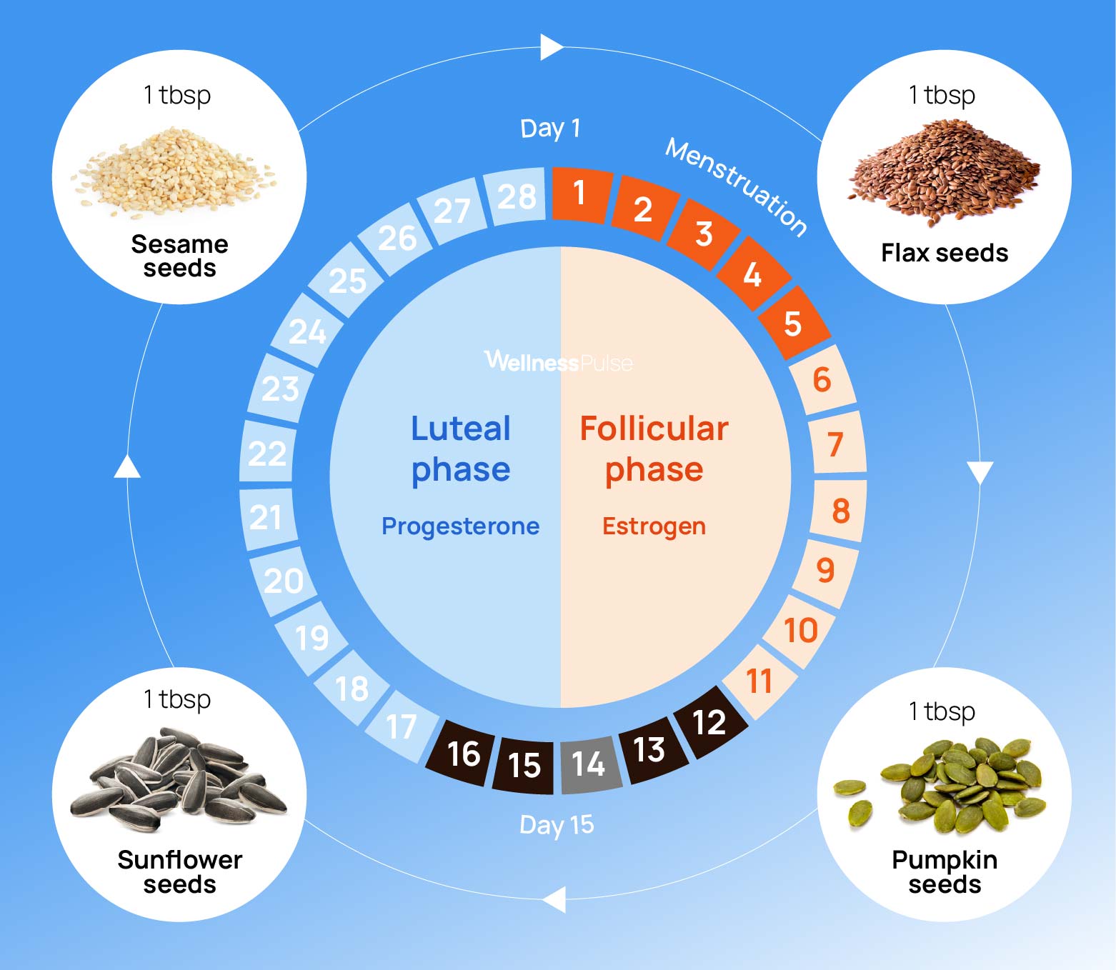 A chart with instructions for seed cycling