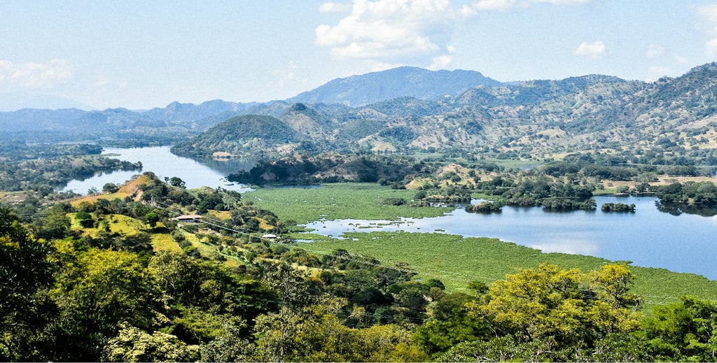 El Salvador wildlife view