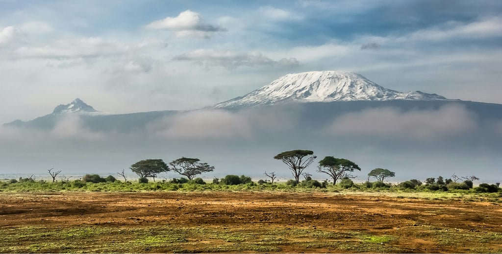 Kenya wildlife view