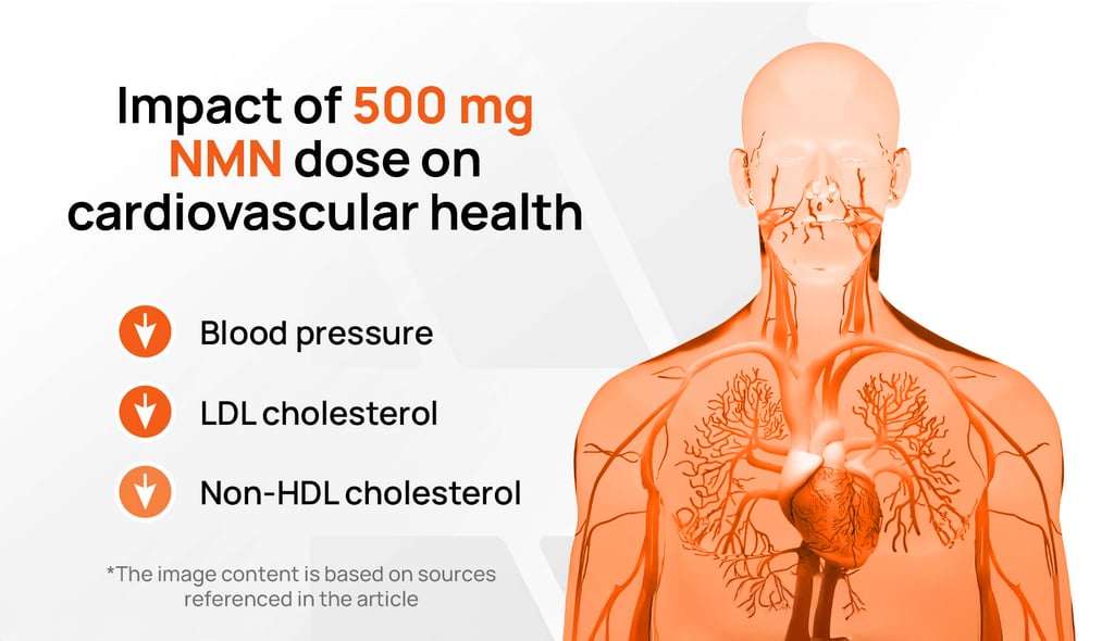 Infographic on the impact of a 500 mg NMN dose on blood pressure, LDL, and non-HDL cholesterol