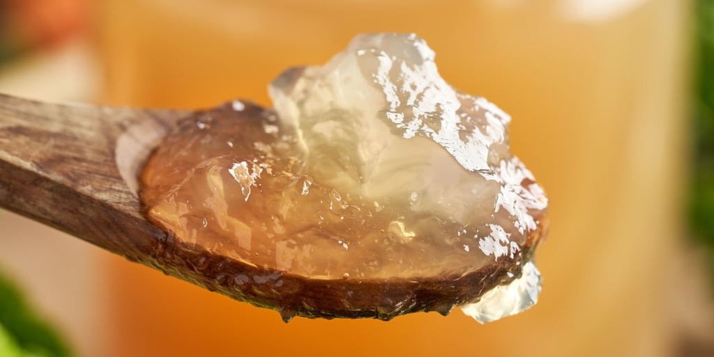 A spoon of chilled jellied beef bone broth.