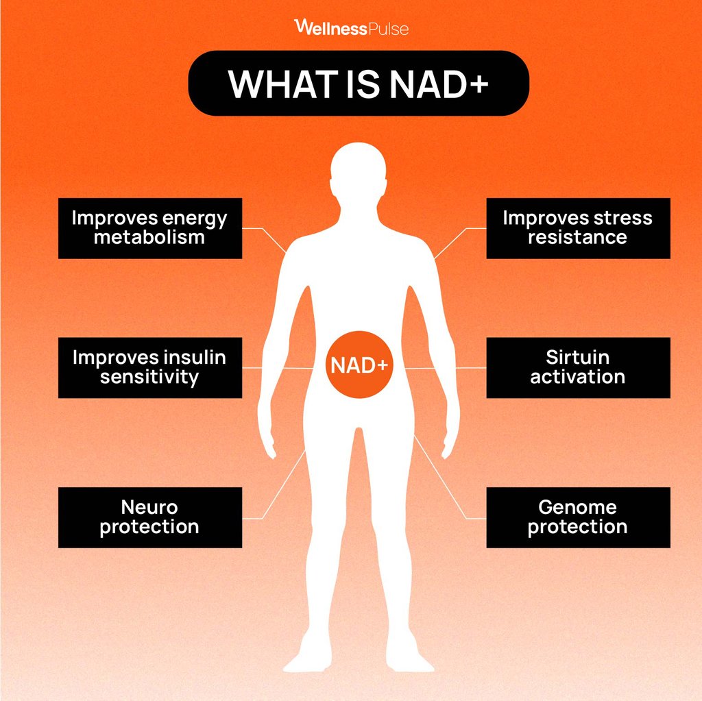 NAD+ benefits