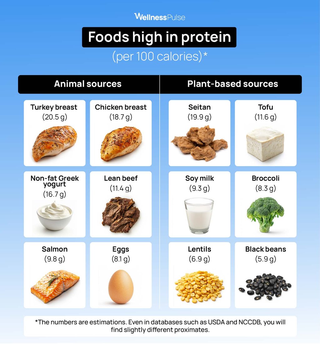 Infographic showing foods that are high in protein