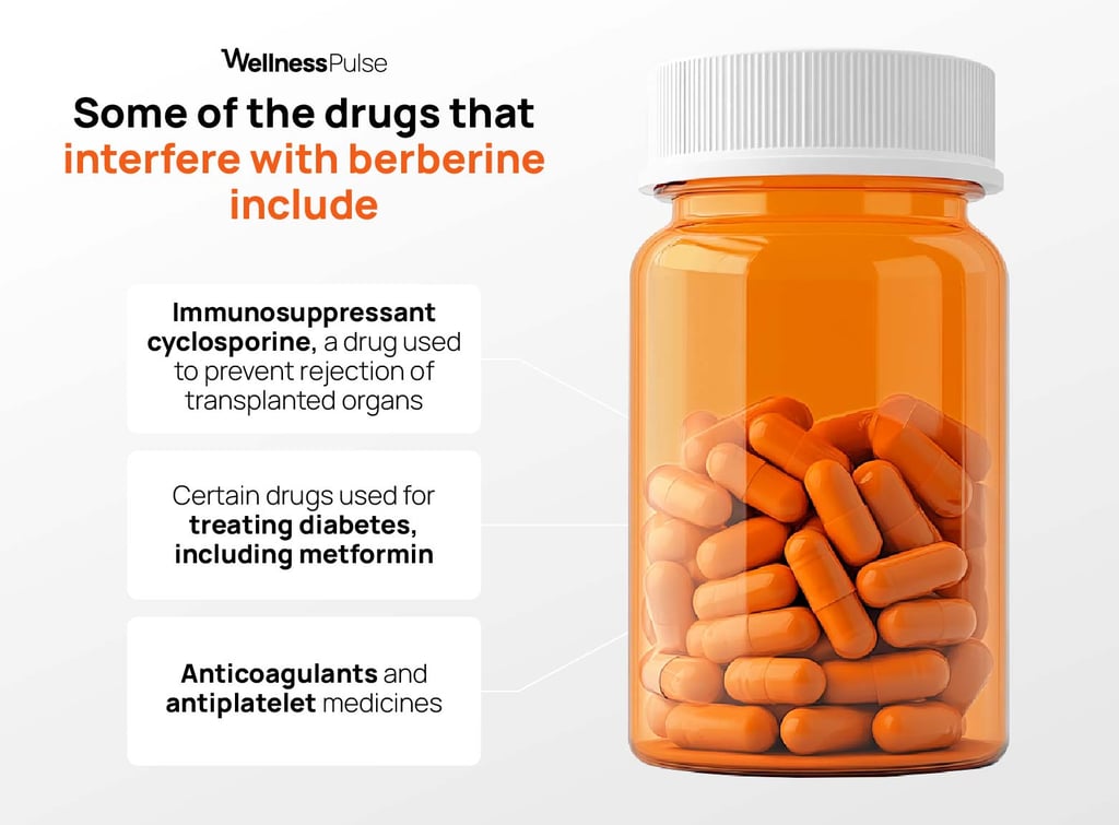 Infographic showing drugs that interfere with berberine