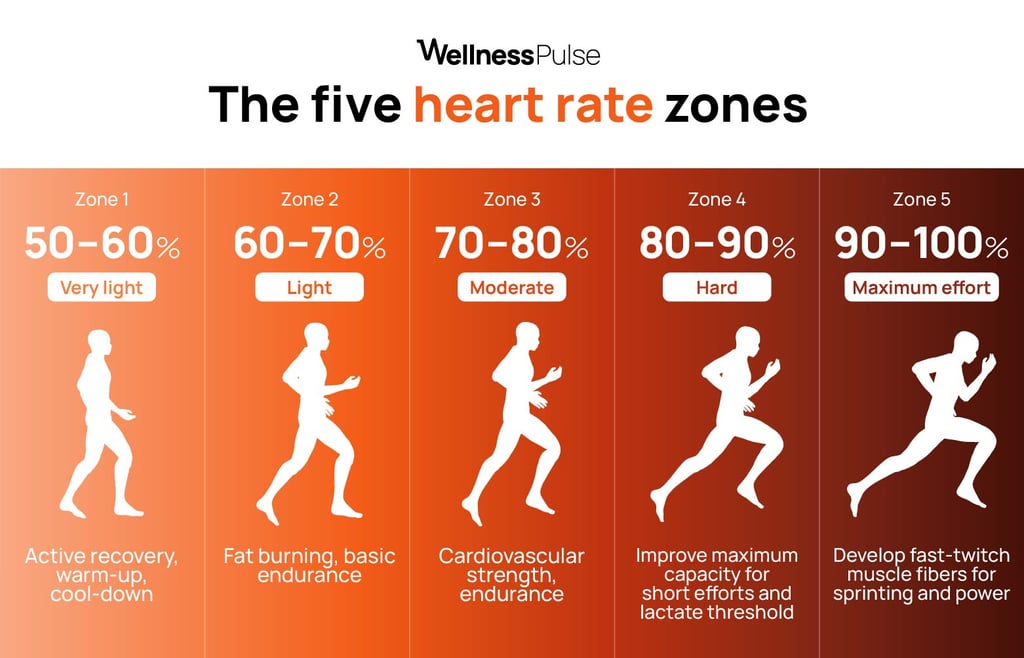 Infographic explaining what are The five heart rate zones 5 in total
