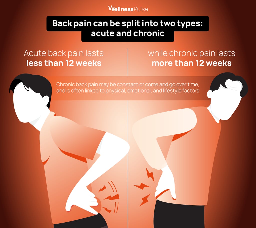 Infographic showing 2 types of back pains: acute and chronic