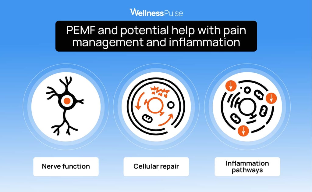 Illustration showing how PEMF can help with pain management and inflamation