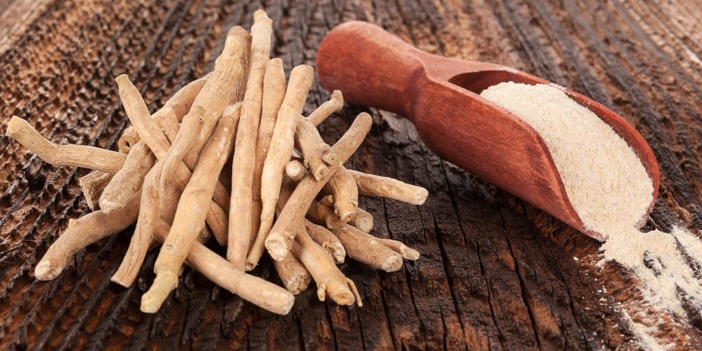 Ashwagandha superfood powder and root in spoon on wooden table.
