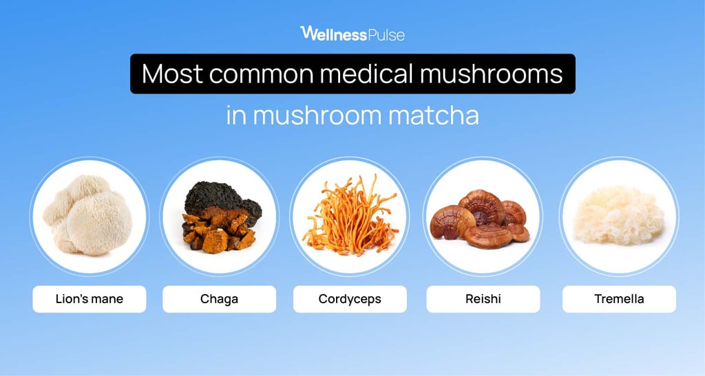 medical mushrooms in matcha