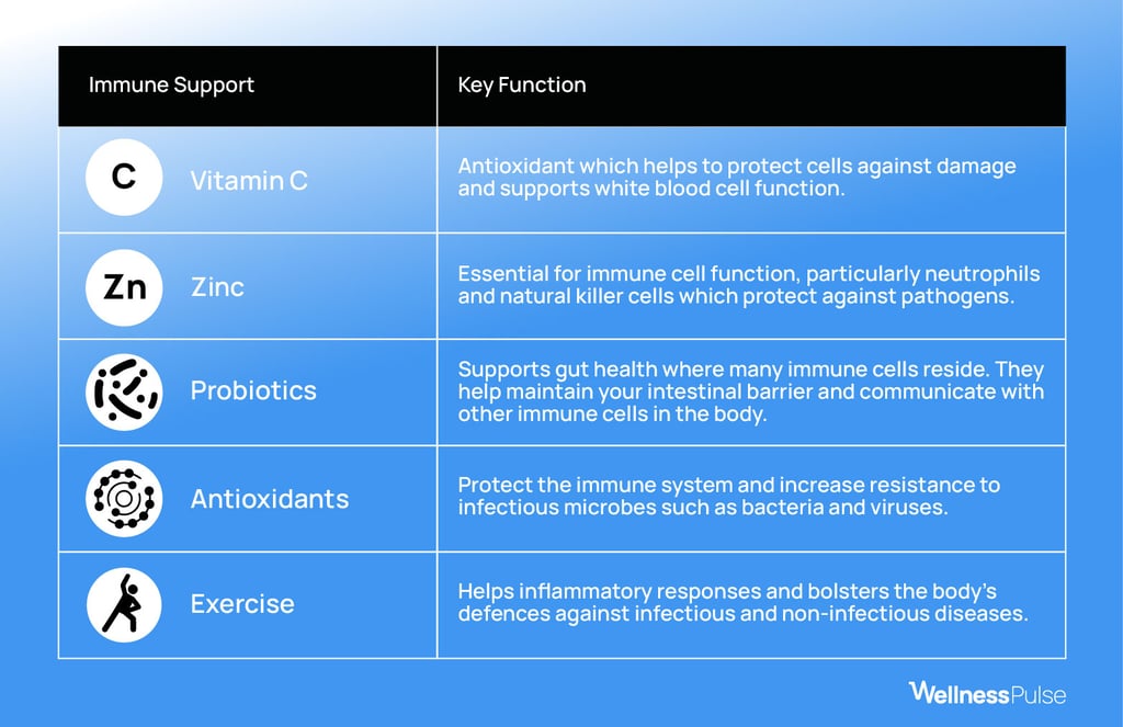 Immune support and its key function