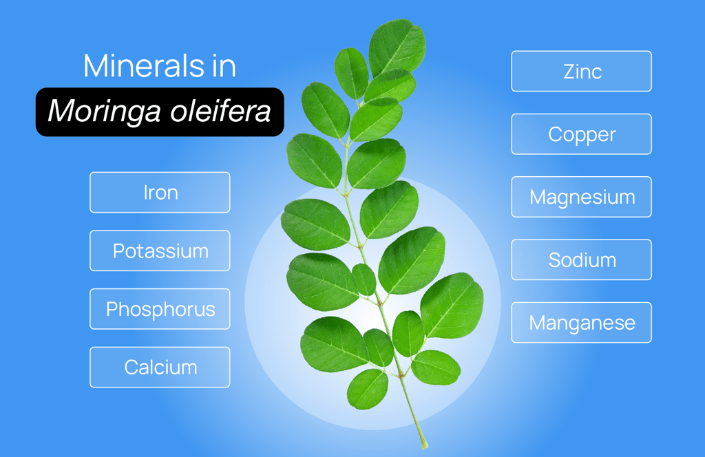 Minerals in Moringa