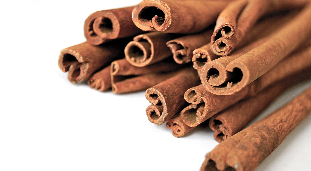 Cinnamon in white background