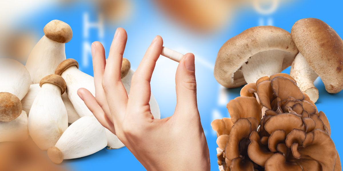 The image shows mushrooms and a hand holding a capsule.