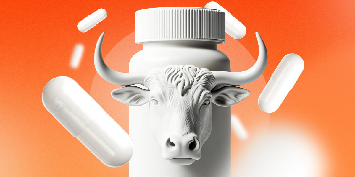 A white bottle of supplement with an ox head on it on an orange background