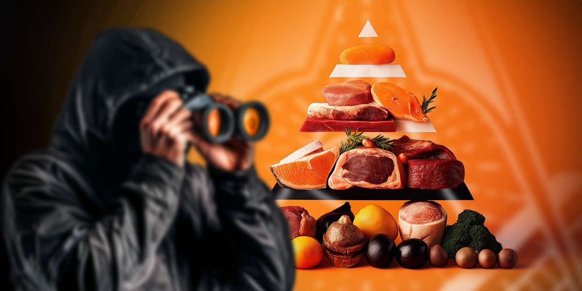 A person with binoculars looking at the Food Pyramid on the orange background.