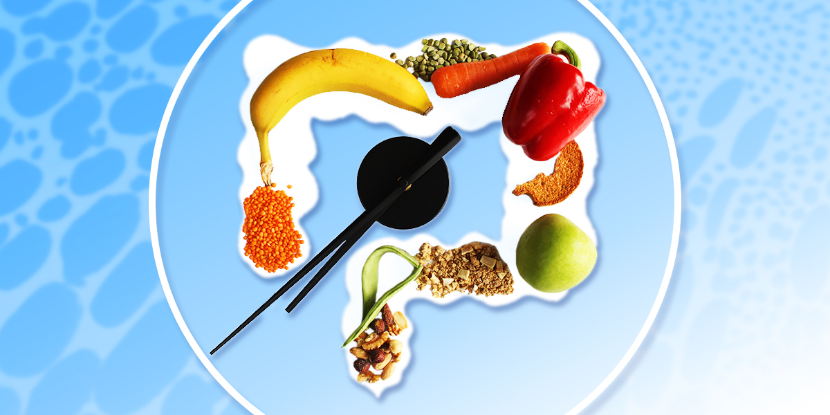 Illustration of various foods in an intestine, set against a blue background