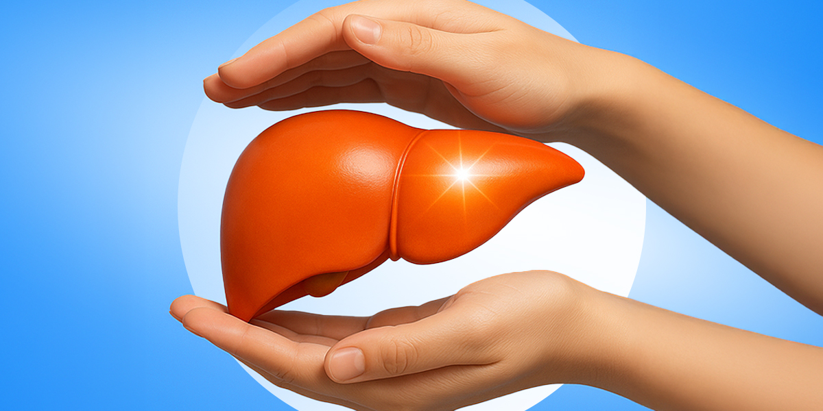 Liver in between hands with blue background