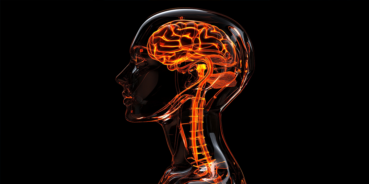 Transparent head with orange brain nervous system inside in black background