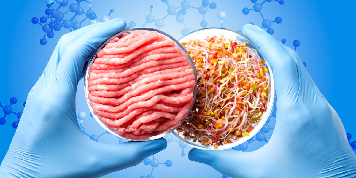 Hands holding two petri dishes - one with raw meat and other with vegetables